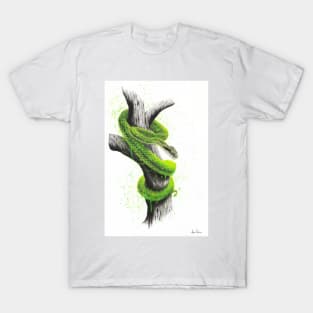 Daintree Escape T-Shirt